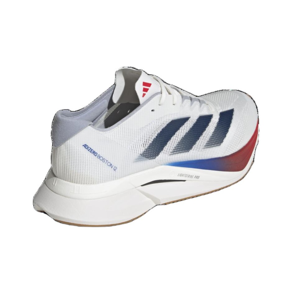 Adidas Adizero Boston 12 Laufs – Adidas Shoes Adizero Boston 12 Bewertung und Preis